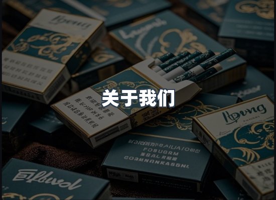 关于我们